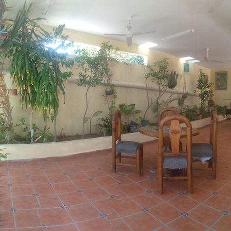 Room In Guest Room - Padrinos Hostal La Paz Full House Eksteriør bilde
